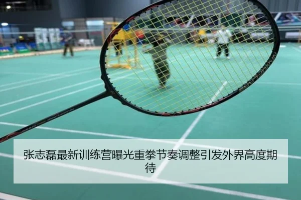 张志磊最新训练营曝光重拳节奏调整引发外界高度期待